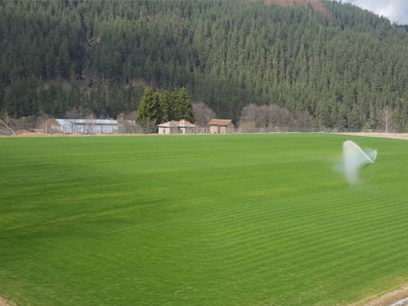 FIELD