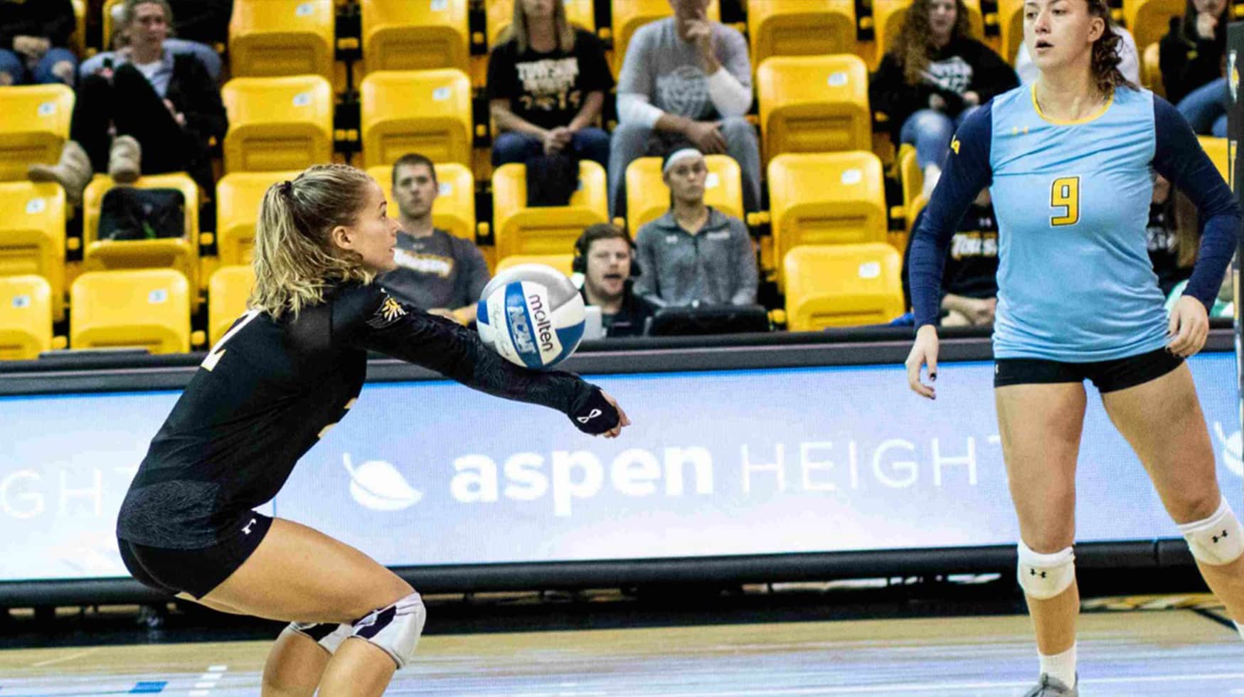 volleyball3