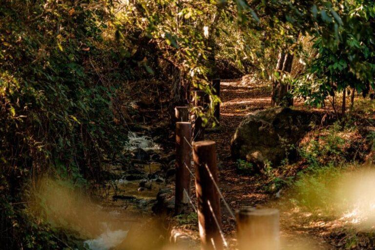 WhatsApp Image 2025-12-12 at 16.19.09