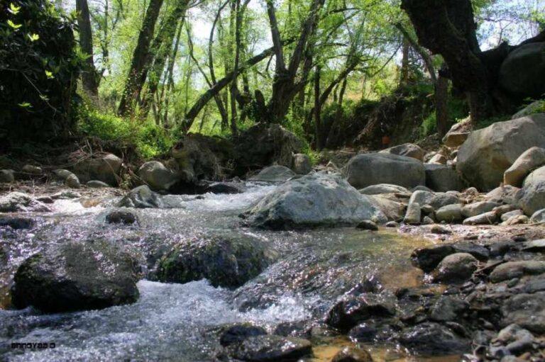 WhatsApp Image 2025-12-12 at 16.19.10 (1)